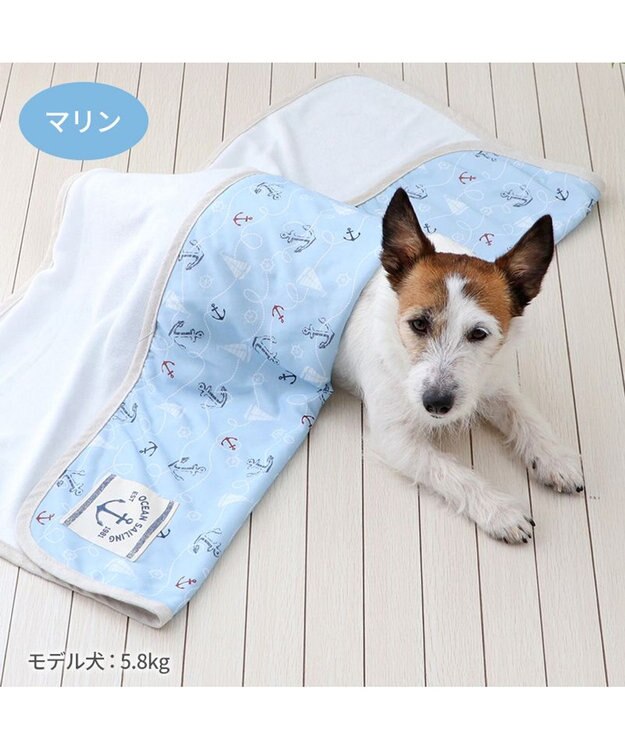 PET PARADISE ペットパラダイス クールケット 《マリン柄》 小型犬 マリン柄