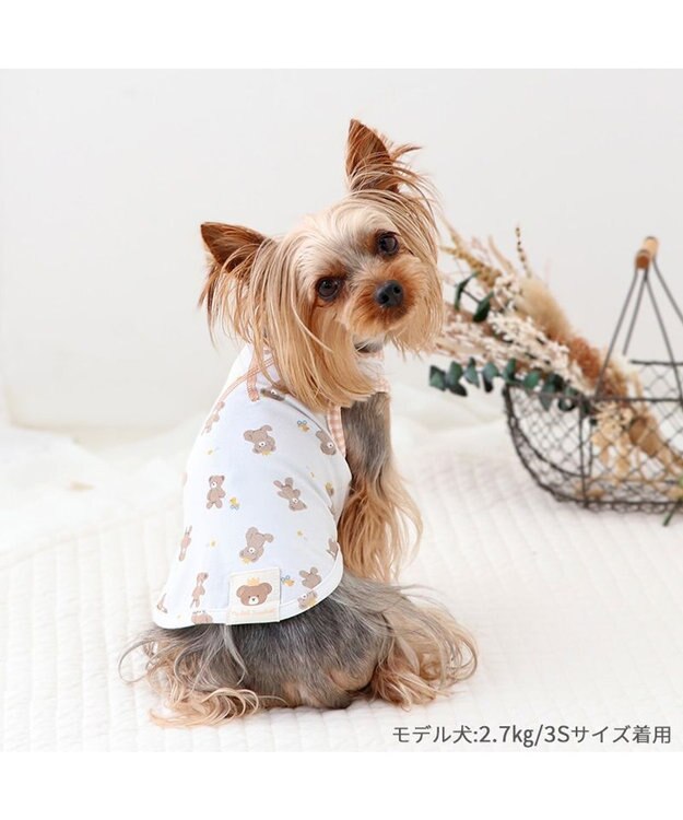 PET PARADISE ペットパラダイス はじめてタンクトップ くまちゃん柄 小型犬 ホワイト