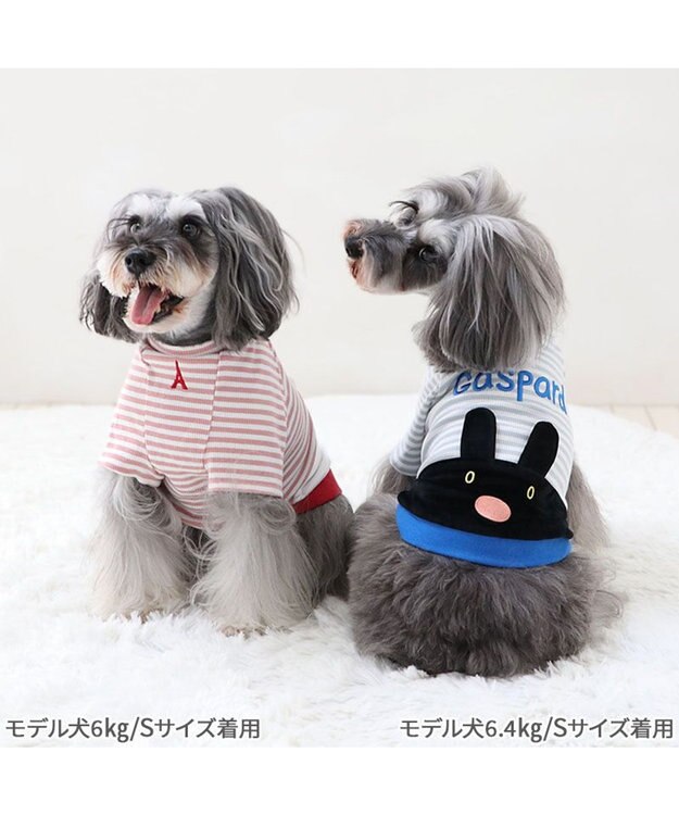 PET PARADISE リサとガスパール リブＴシャツ 《フェイス リサ》 小型犬 リサ