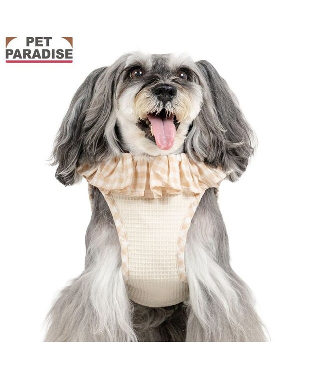 PET PARADISE ペットパラダイス くまちゃん ピエロ襟ベストハーネス ＳＳ ベージュ