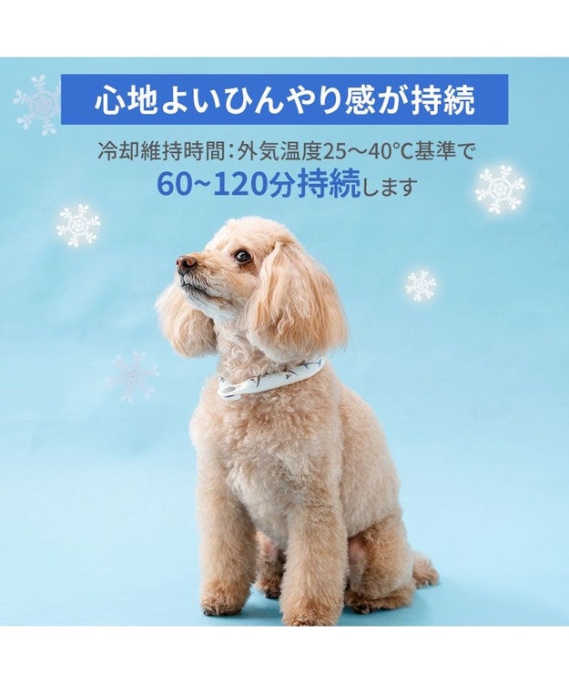 PET PARADISE ペットパラダイス ２８℃ クールリング ３Ｓ 《サメ柄》 ブルー