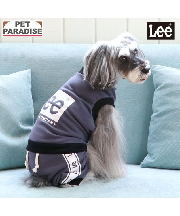 PET PARADISE Lee ボックスロゴ ロンパース 小型犬 チャコールグレー