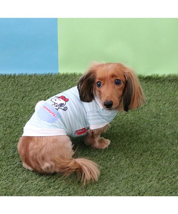 PET PARADISE スヌーピー ゴルファー Ｔシャツ 接触冷感 小型犬 ライトブルー