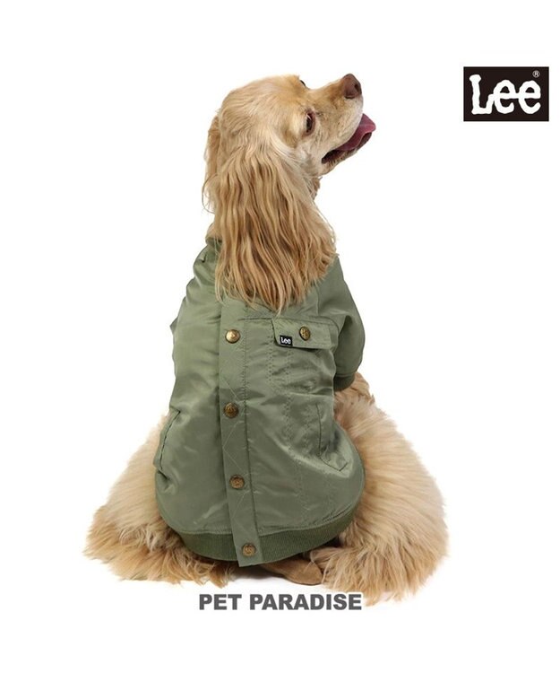 PET PARADISE LEE ライダースブルゾン 中型犬 大型犬 カーキ