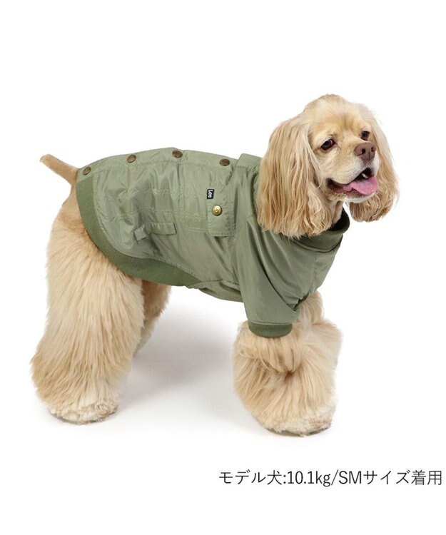 PET PARADISE LEE ライダースブルゾン 中型犬 大型犬 カーキ