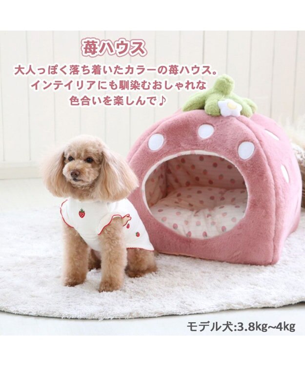 PET PARADISE ペットパラダイス くすみ苺  ハウス L  (45×45×46cm) 小型犬 ピンク