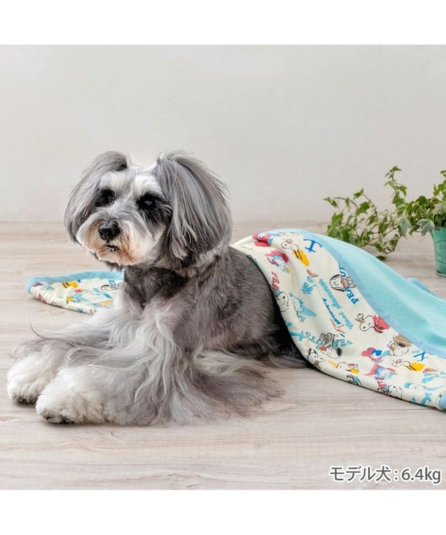 PET PARADISE スヌーピー クールケット 《アイス柄》 ホワイト×ブルー