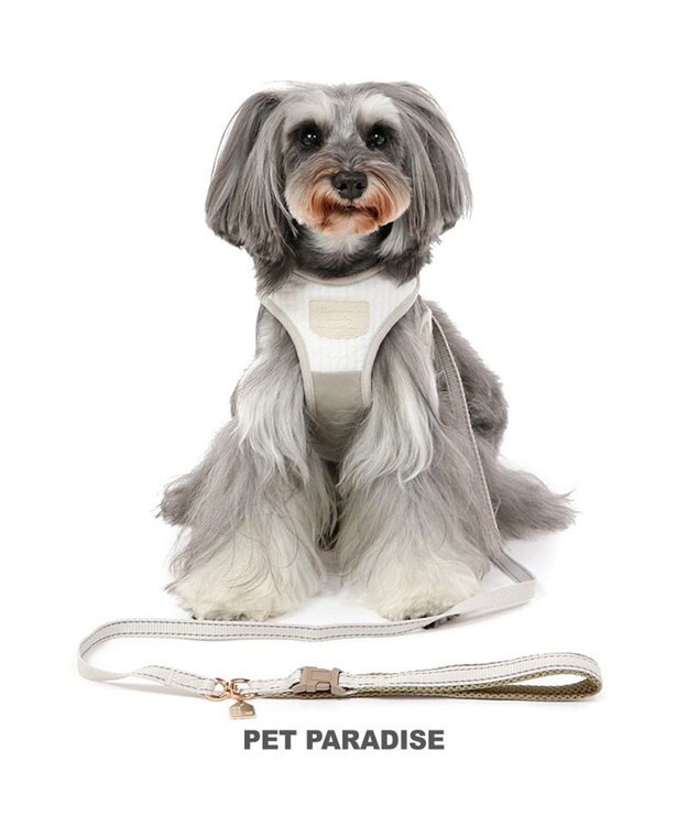 PET PARADISE シンプル リード付きハーネス 【Ｓ】 ベージュ