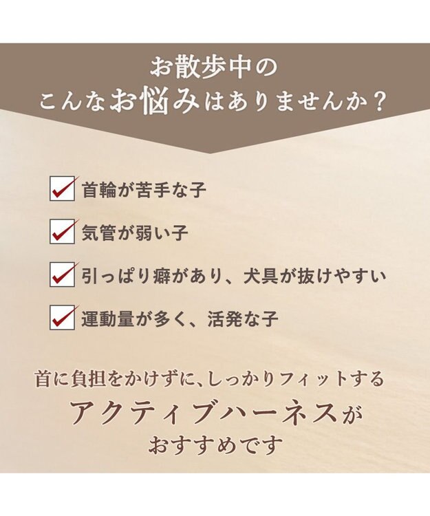 PET PARADISE リサとガスパール アクティブハーネス 《三角柄》 ＳＭ 中型犬 ホワイト×ネイビー