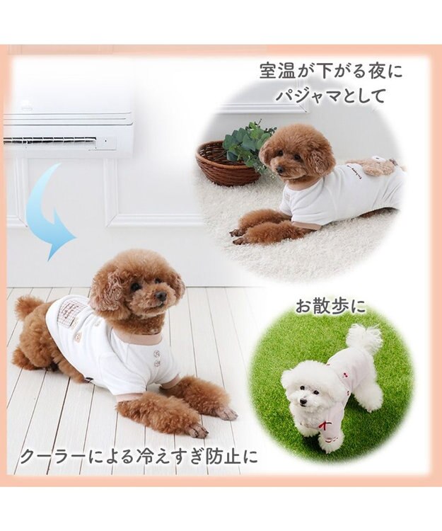 PET PARADISE ディズニー チップとデール サーモキープ お顔Tシャツ 小型犬 ホワイト×ブラウン