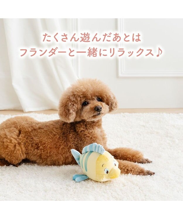 PET PARADISE ディズニー リトルマーメイド フランダー トイ イエロー