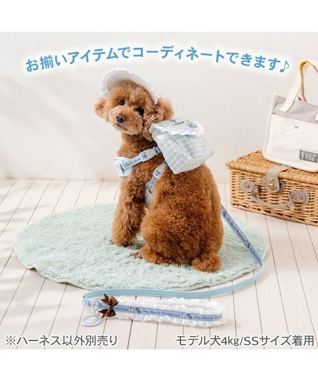 PET PARADISE ディズニー アリス リュックハーネス ３Ｓ ブルー