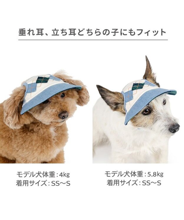 PET PARADISE ペットパラダイス アーガイル柄 帽子 ＳＭ～Ｍ/Ｌ ライトインディゴブルー