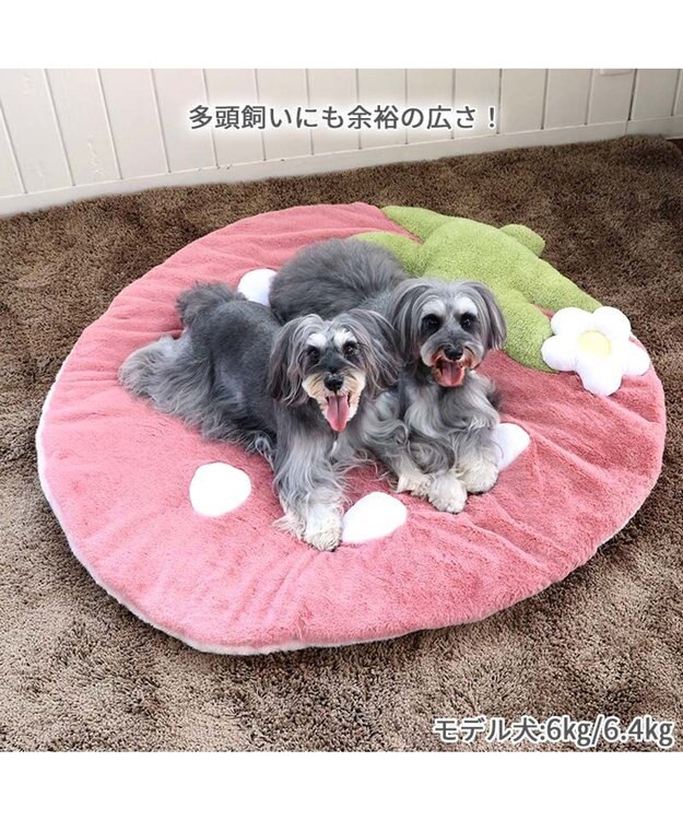PET PARADISE  ネット店限定 くすみ苺 マット (105×107cm用) ピンク