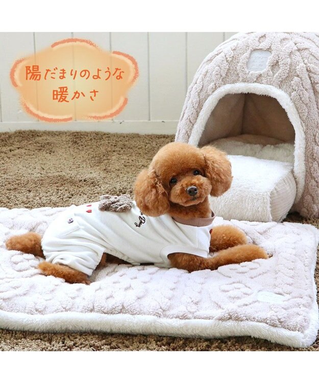 PET PARADISE ペットパラダイス ペティヒート プレミアム ロンパース くま 小型犬 ホワイト