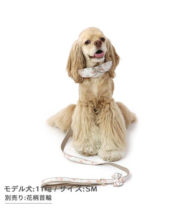 PET PARADISE 花柄 リード【ＳM】中型犬 茶系