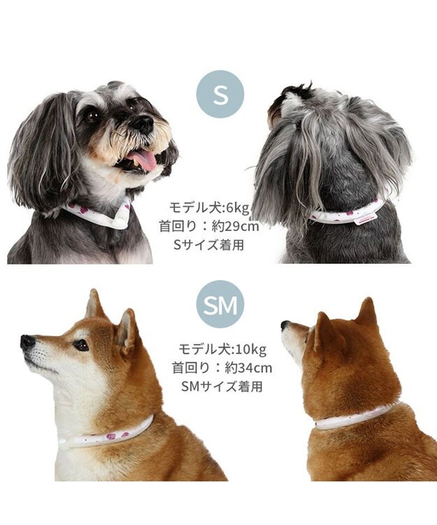 PET PARADISE ペットパラダイス 28℃クールリング  《いちご》 ＳＭ 中型犬 いちご柄