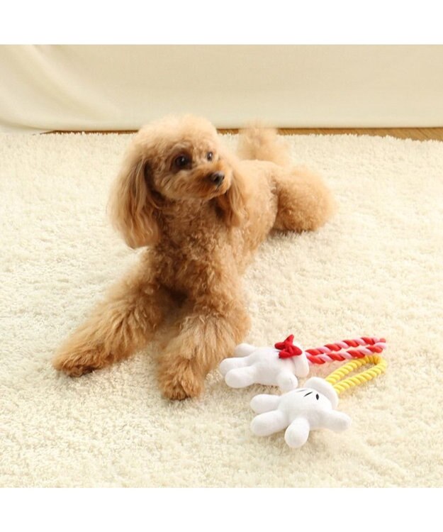 PET PARADISE ディズニー ミッキーマウス 《手のロープトイ》 犬用おもちゃ -