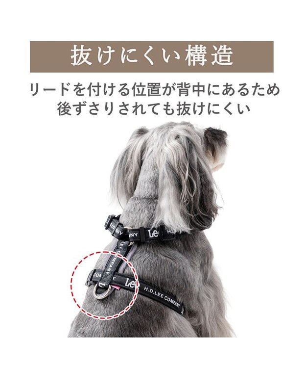 PET PARADISE Lee ロゴアクティブ ハーネス Ｓ ブラック