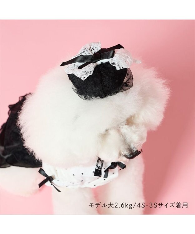 PET PARADISE cherircouture ベレー帽 ４Ｓ～３Ｓ / ＳＳ～Ｓ ブラック