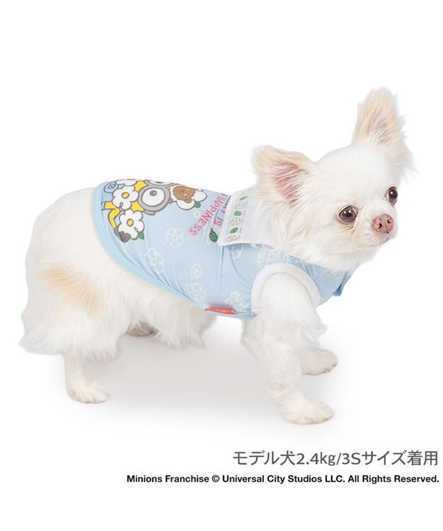 PET PARADISE ミニオン ポケットクール タンクトップ 《デイジー柄》 小型犬 ライトブルー