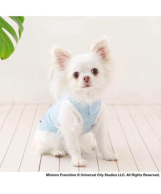 PET PARADISE ミニオン ポケットクール タンクトップ 《デイジー柄》 小型犬 ライトブルー