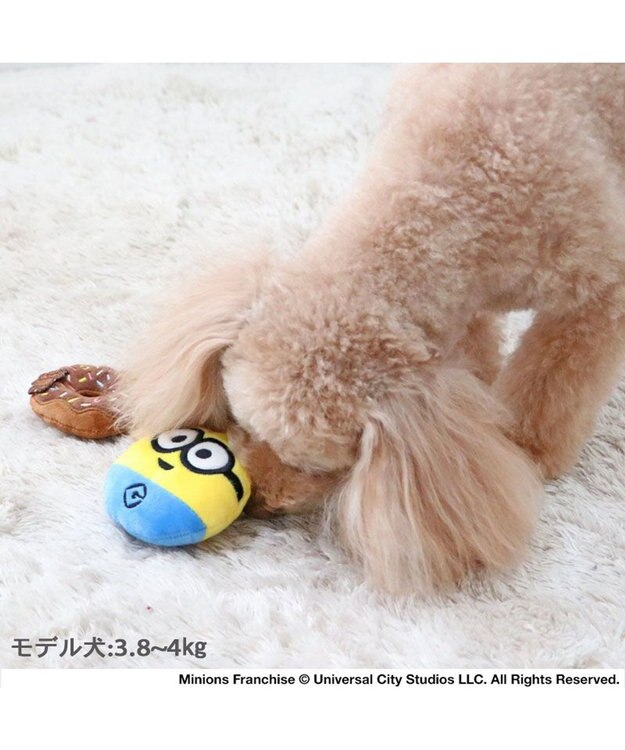 PET PARADISE ミニオン ボブ ドーナツ ロープ トイ 黄