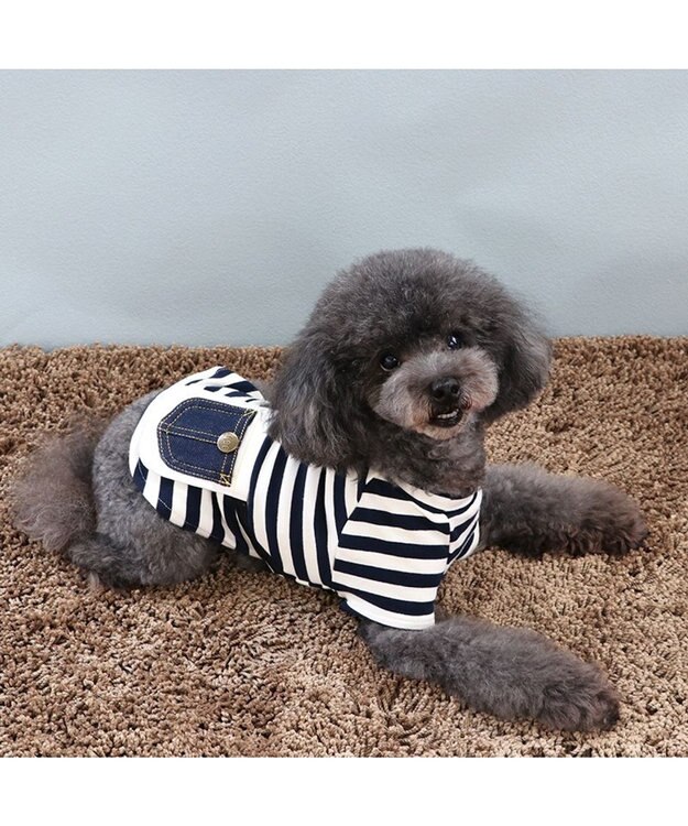PET PARADISE  Lee ボーダー Tシャツ   デニム ポーチ風 小型犬 白~オフホワイト