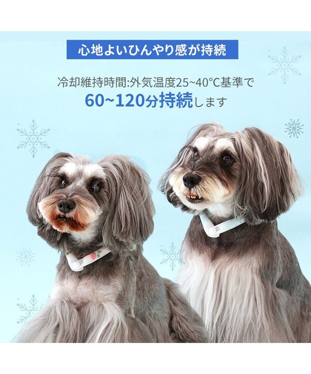 PET PARADISE ペットパラダイス 28℃クールリング SUO 《いちご》 〔３Ｓ〕 小型犬 いちご