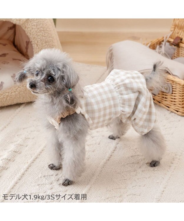 PET PARADISE ペットパラダイス くまちゃん お顔柄 オーバーオール 小型犬 ブラウン