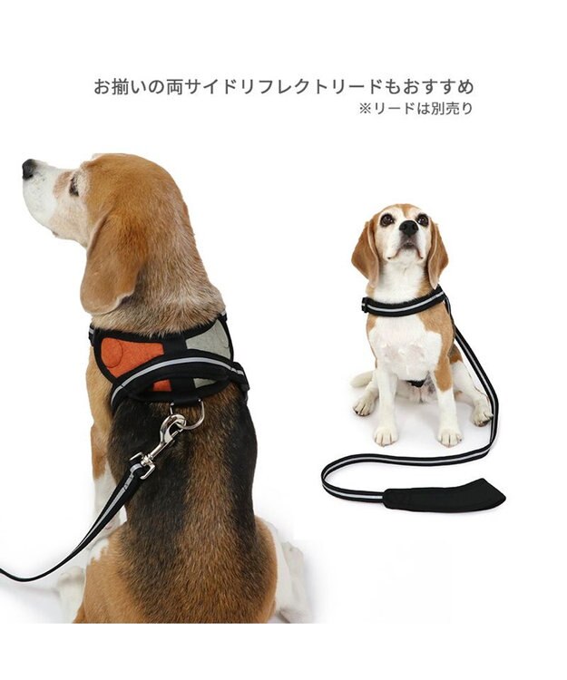 PET PARADISE ヘッドインハーネス  【ＳＭ】 オレンジ / ブルー 【中型犬】 オレンジ×グレー