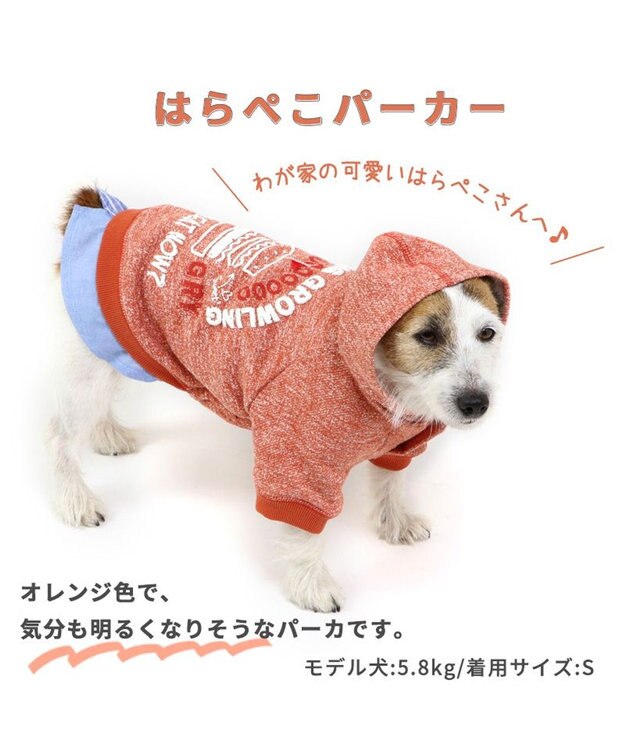 PET PARADISE 犬 服 秋冬 パーカー 【小型犬】 はらぺこ オレンジ