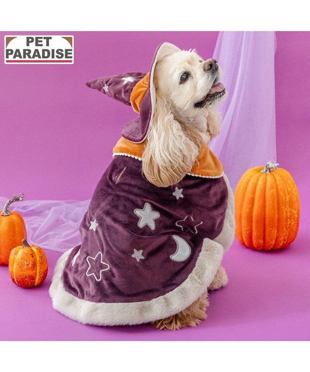 PET PARADISE ペットパラダイス 魔法つかいマント 中型犬 大型犬 パープル