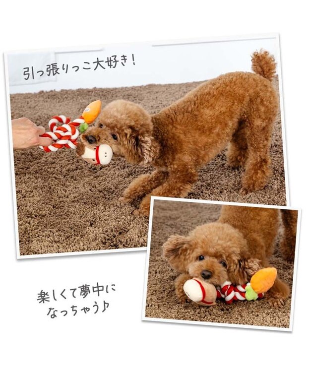 PET PARADISE ペットパラダイス ロープトイ 干支 午 うま ブラウン