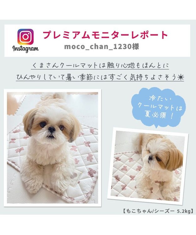 PET PARADISE 犬 クール マット 冷感 柔らか クールマット (48×40cm) 苺 くまちゃん ネイティブ 接触冷感 ひんやり ペット くまちゃん柄