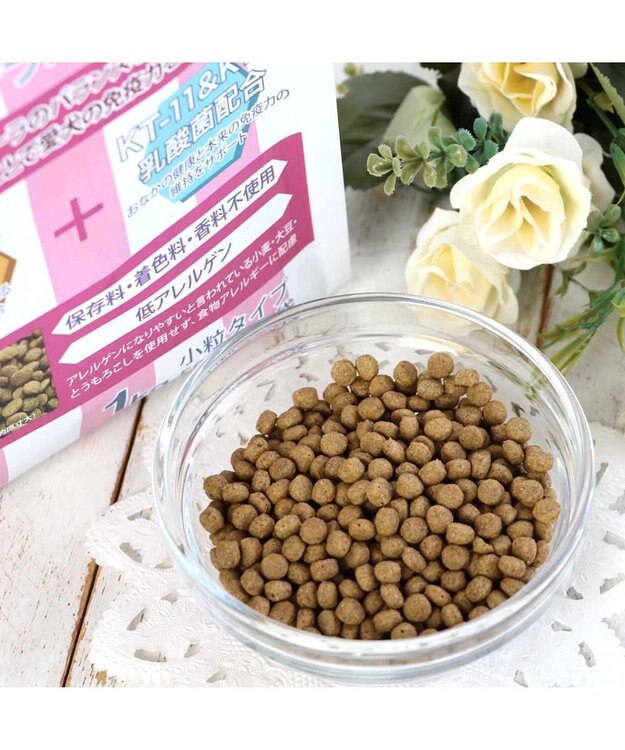 PET PARADISE ペットパラダイス 国産 ドッグフード フローラ 1kg -