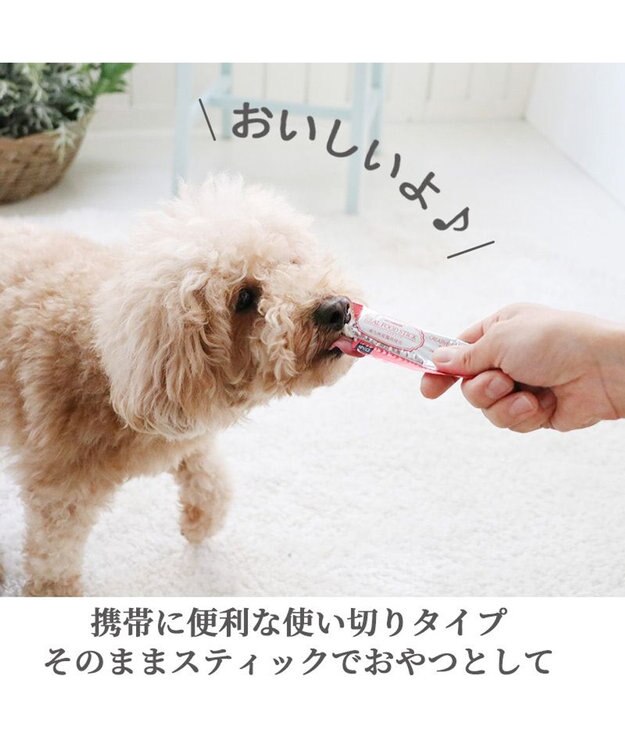 PET PARADISE リアルフードスティック フローラケア 10g×8本 国産 -