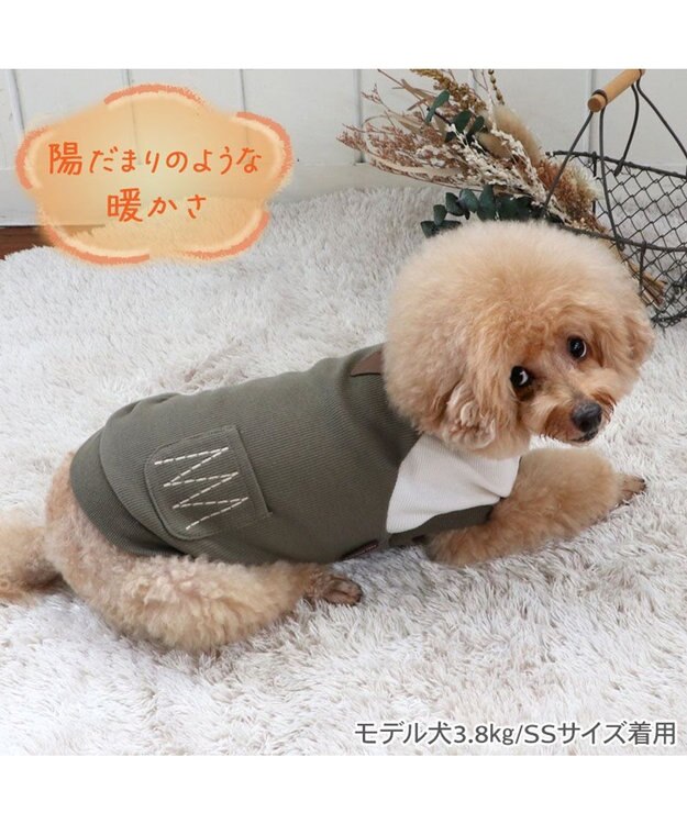 PET PARADISE ペットパラダイス プレミアムペティヒート  切替えタンクトップ 超小型犬 小型犬 緑