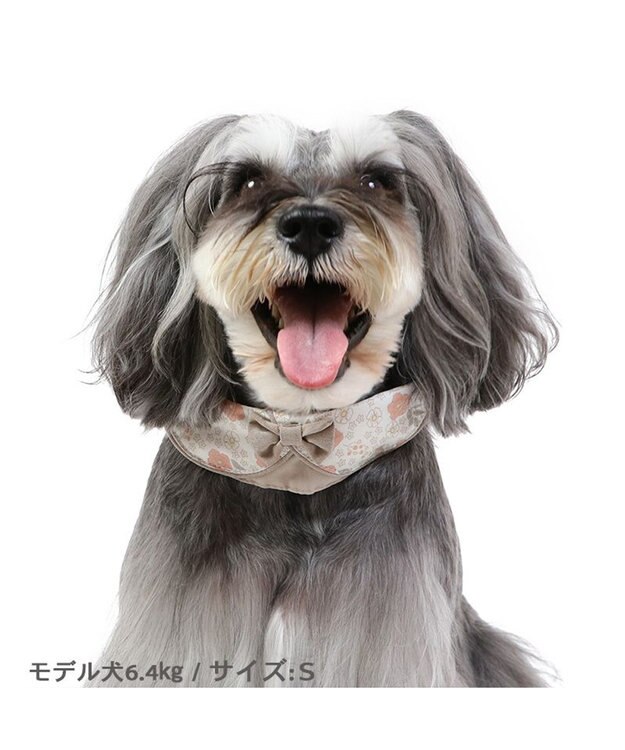 PET PARADISE 花柄 襟付首輪 おしゃれ 【ＳＳ】小型犬 茶系