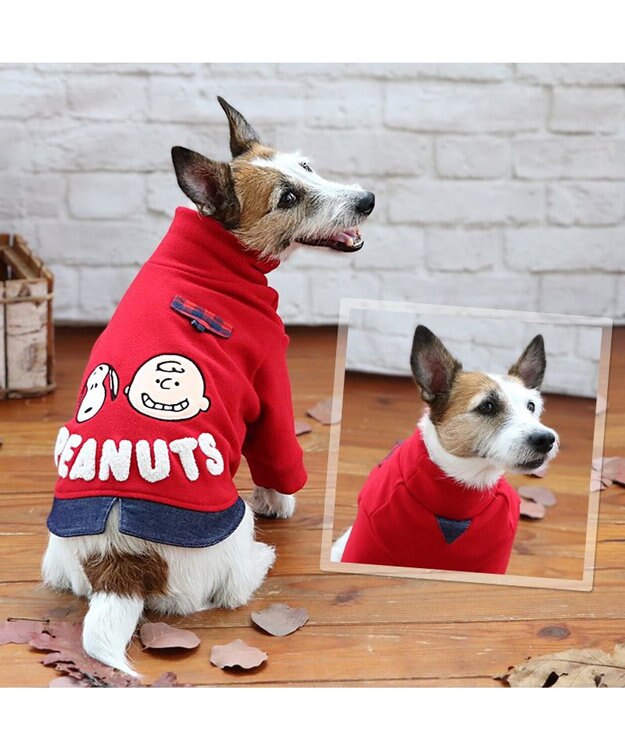 PET PARADISE スヌーピー ペティヒートDAN ハイネックTシャツ 小型犬 赤