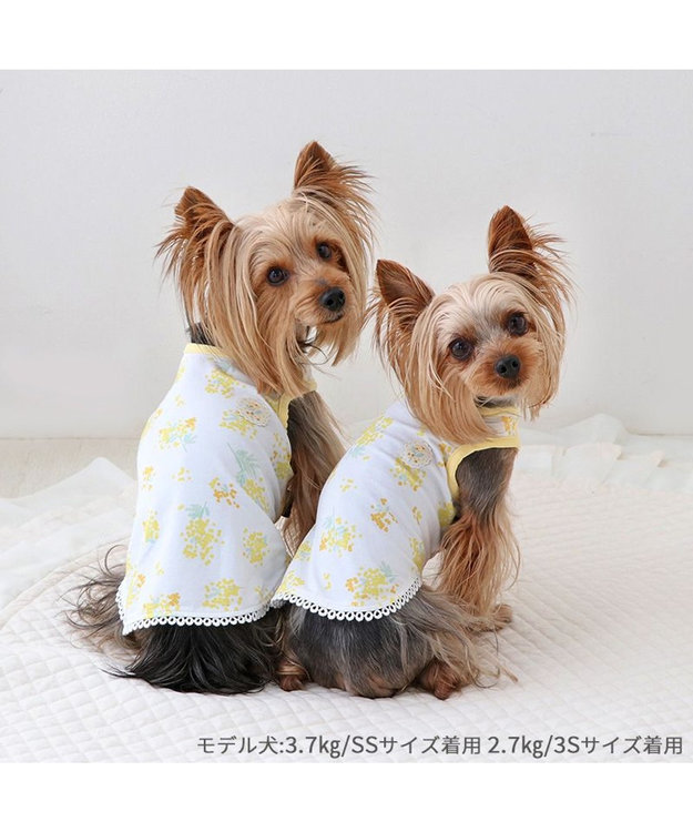 PET PARADISE ペットパラダイス はじめてタンクトップ 《ミモザ柄》 小型犬 ミモザ柄