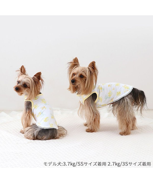 PET PARADISE ペットパラダイス はじめてタンクトップ 《ミモザ柄》 小型犬 ミモザ柄