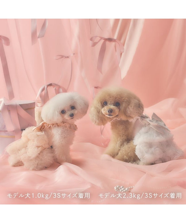 PET PARADISE cherircouture ローズチュールワンピース 《ホワイト》 小型犬 ホワイト