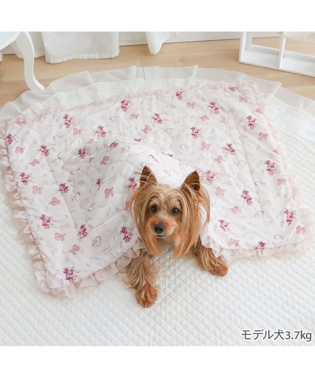PET PARADISE ディズニー ミニーマウス もちっと クール ブランケット 《ハート柄》 ピンク