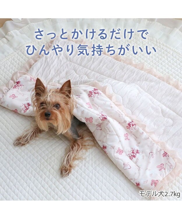 PET PARADISE ディズニー ミニーマウス もちっと クール ブランケット 《ハート柄》 ピンク