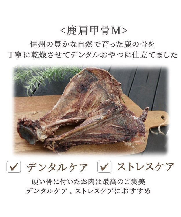 PET PARADISE 鹿 肩甲骨 デンタルおやつ Mサイズ×2本 純国産 鹿 肩甲骨