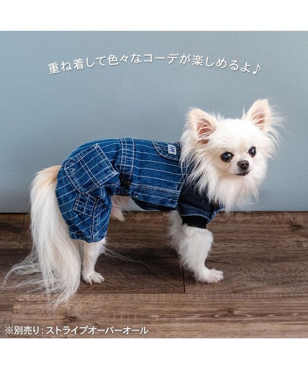 PET PARADISE Lee カットオフ パーカー 《ネイビー》 小型犬 ネイビー