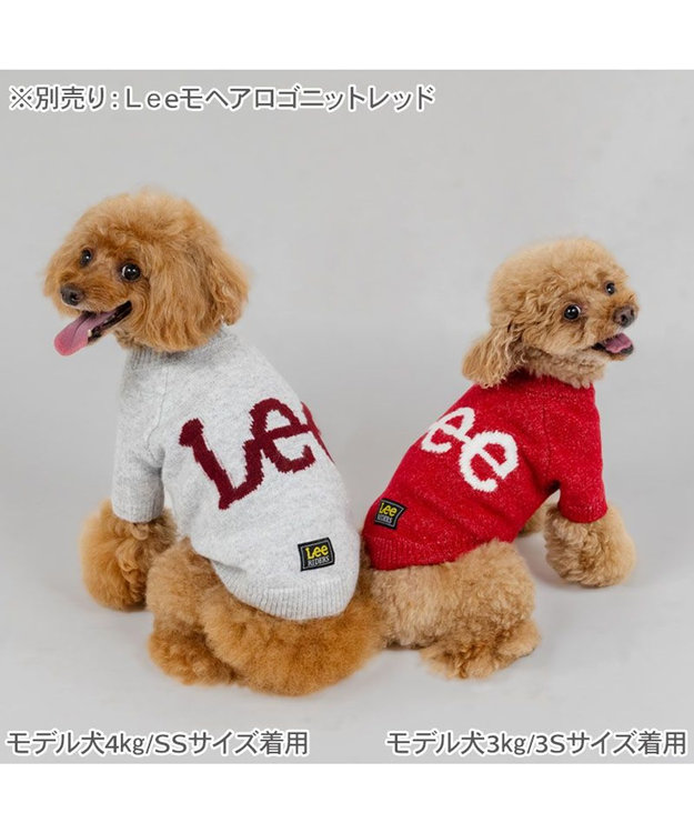PET PARADISE Lee モヘア ロゴニット 《グレー》 小型犬 グレー