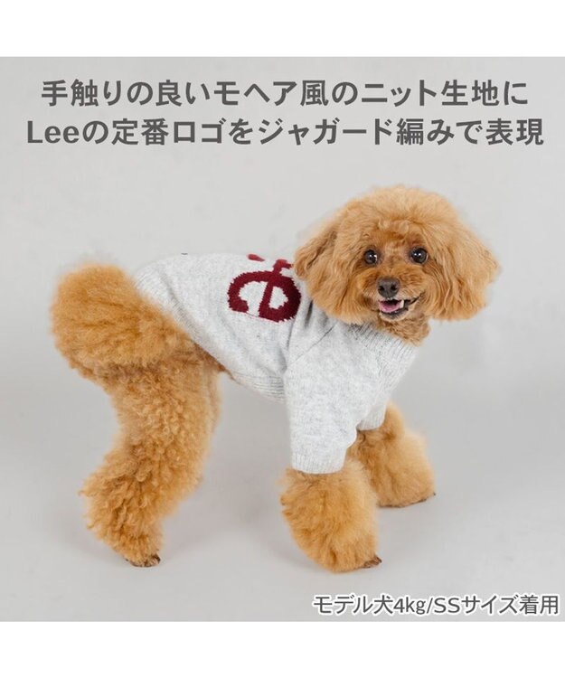 PET PARADISE Lee モヘア ロゴニット 《グレー》 小型犬 グレー
