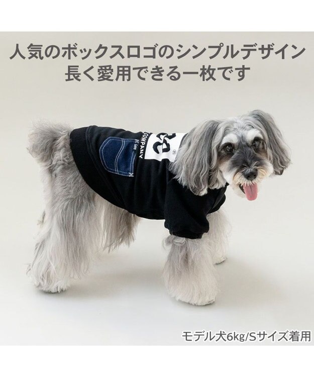 PET PARADISE Lee ボックスロゴ トレーナー ブラック 小型犬 ブラック